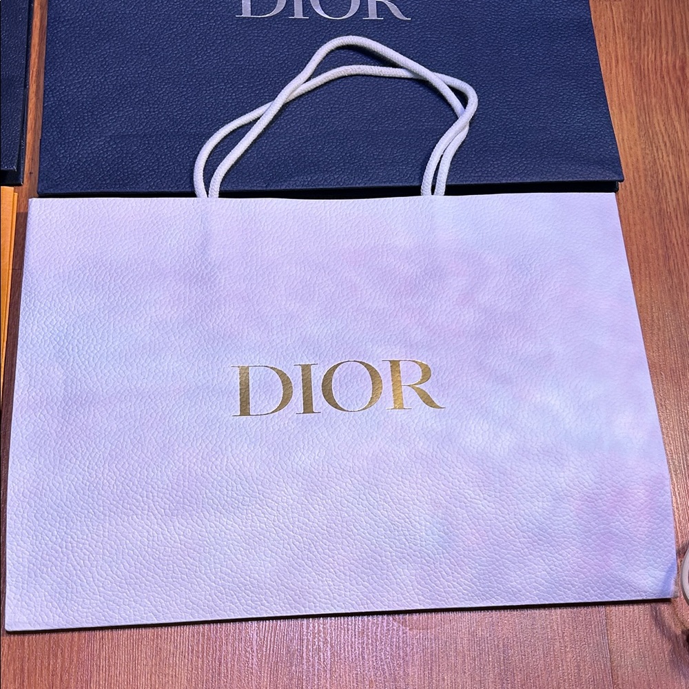 Dior and Louis Vuitton Shopping Bags - Picture 4 of 5